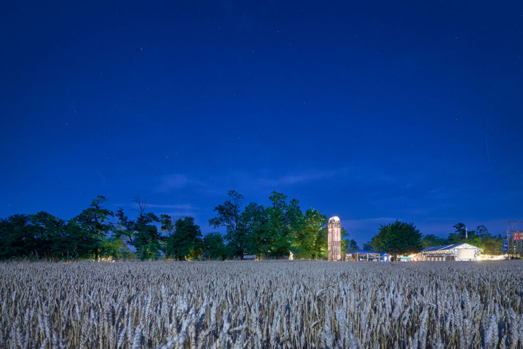 Hello Wood in Csórompuszta, Hungary | Studio CAPN