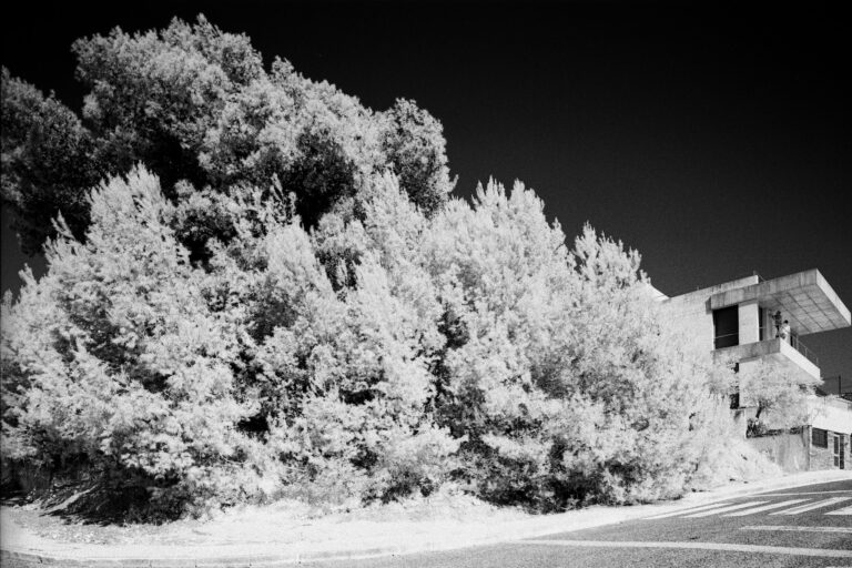 Infrared Tales | Studio CAPN