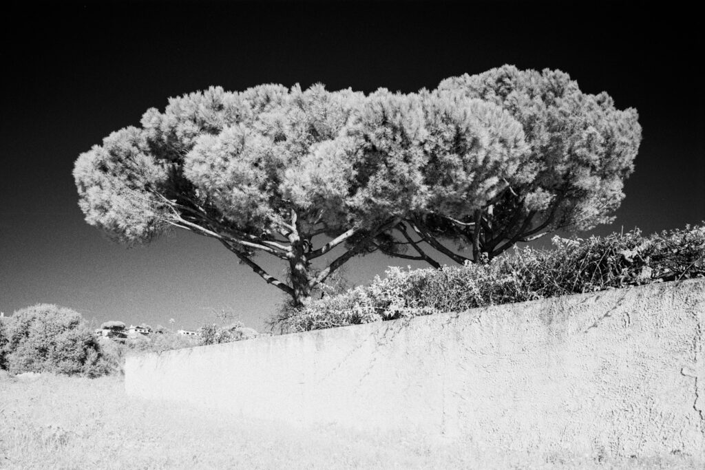 Infrared Tales | Studio CAPN