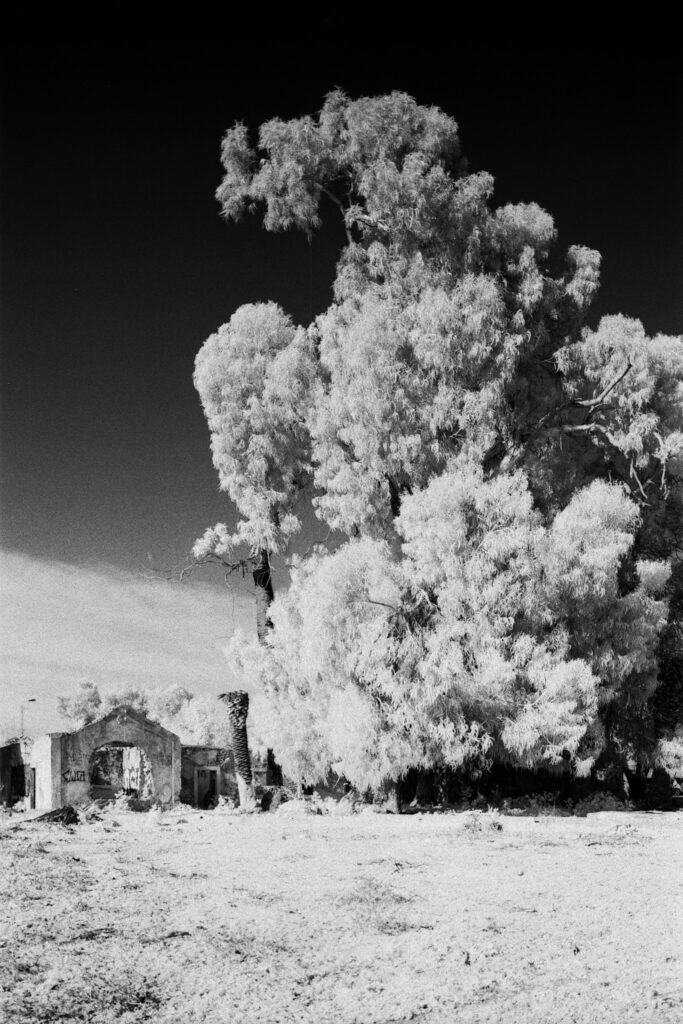 Infrared Tales | Studio CAPN