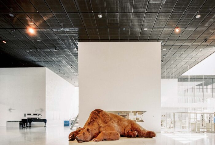 Museum with sculpture of big brown bear and white walls with black piano