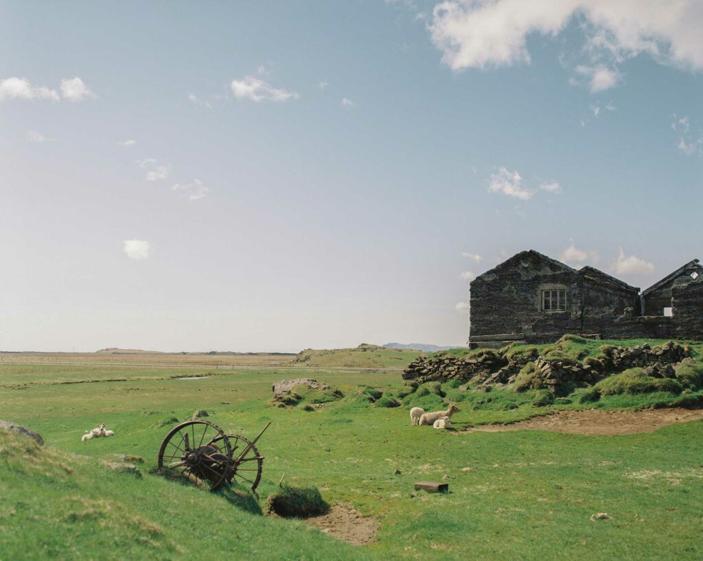 Viðborðssel farm, Höfn | Studio CAPN