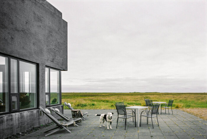 Modern architecture concrete building in South of Iceland with white and black dog in the foreground