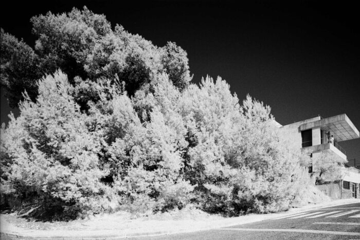 Infrared image of vegetation with modern architecture house in the background